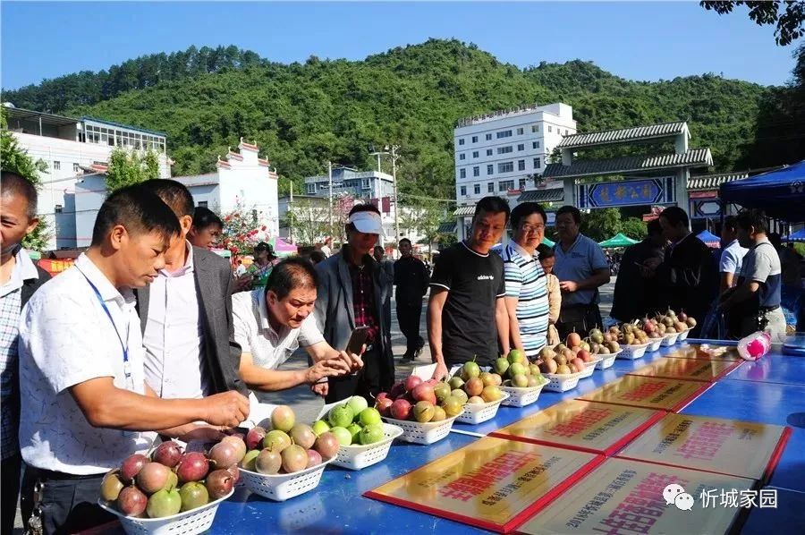 比赛场面壮观红红火火精彩播报 比赛场面壮观红红火火精彩播报