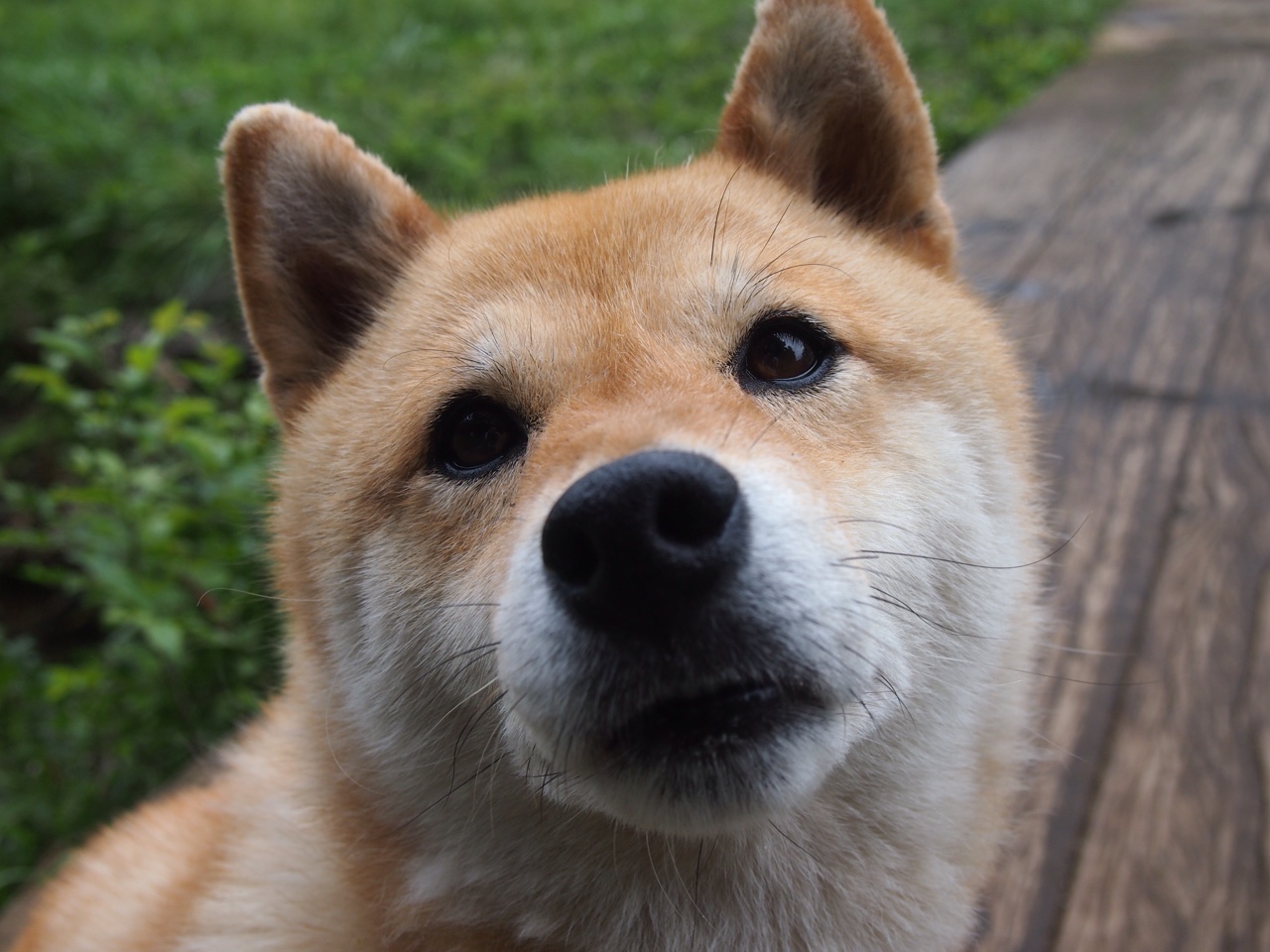 童话军团碾碎非洲顽石，当哥斯达黎加的洪流席卷加纳，唯有莱奥的利刃持续闪亮