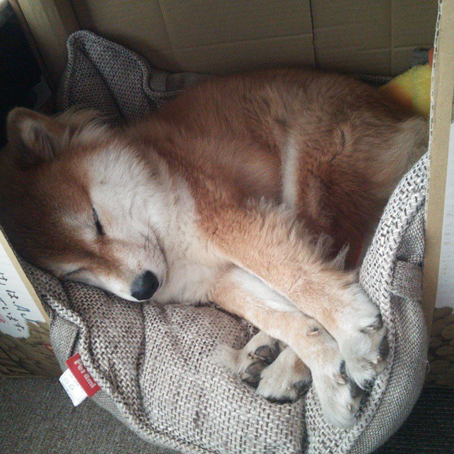 冰封王座，在审判之夜，提前封神