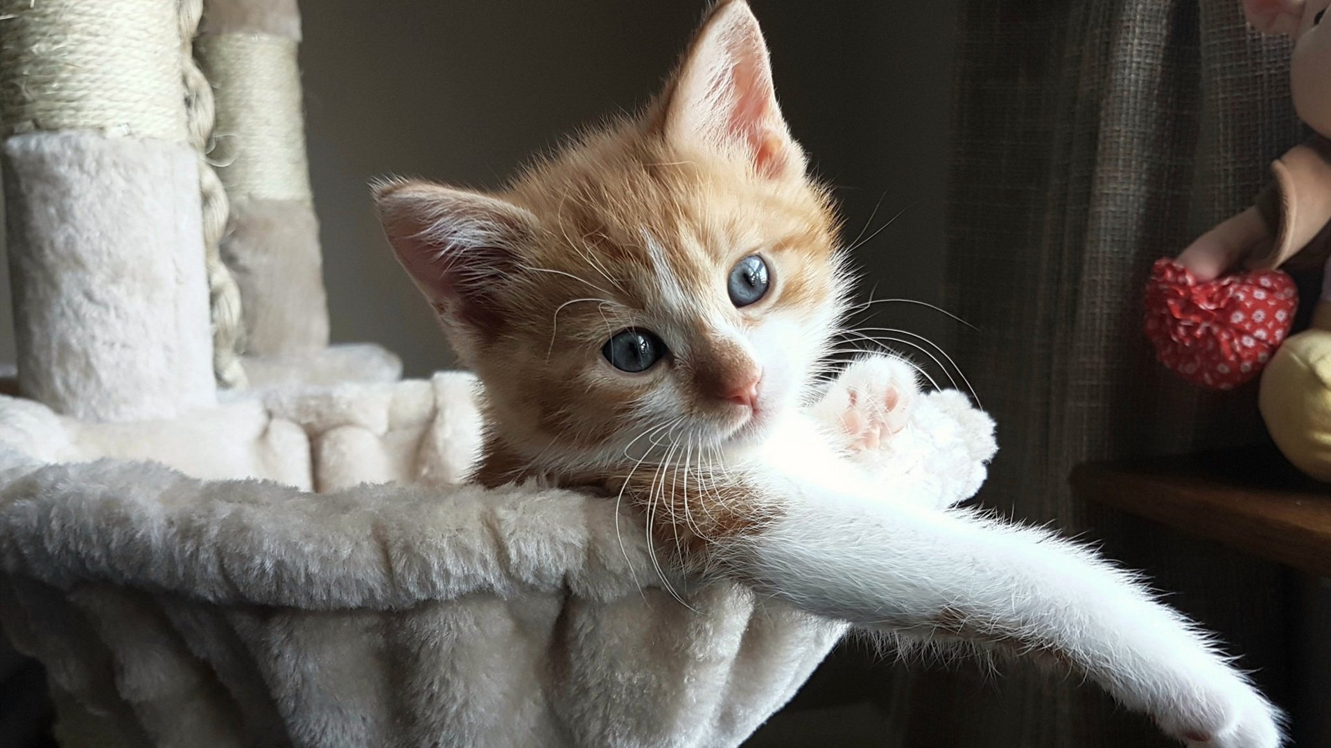 浓眉教科书表现诠释赢球真谛，勇士团队篮球成稳稳基石