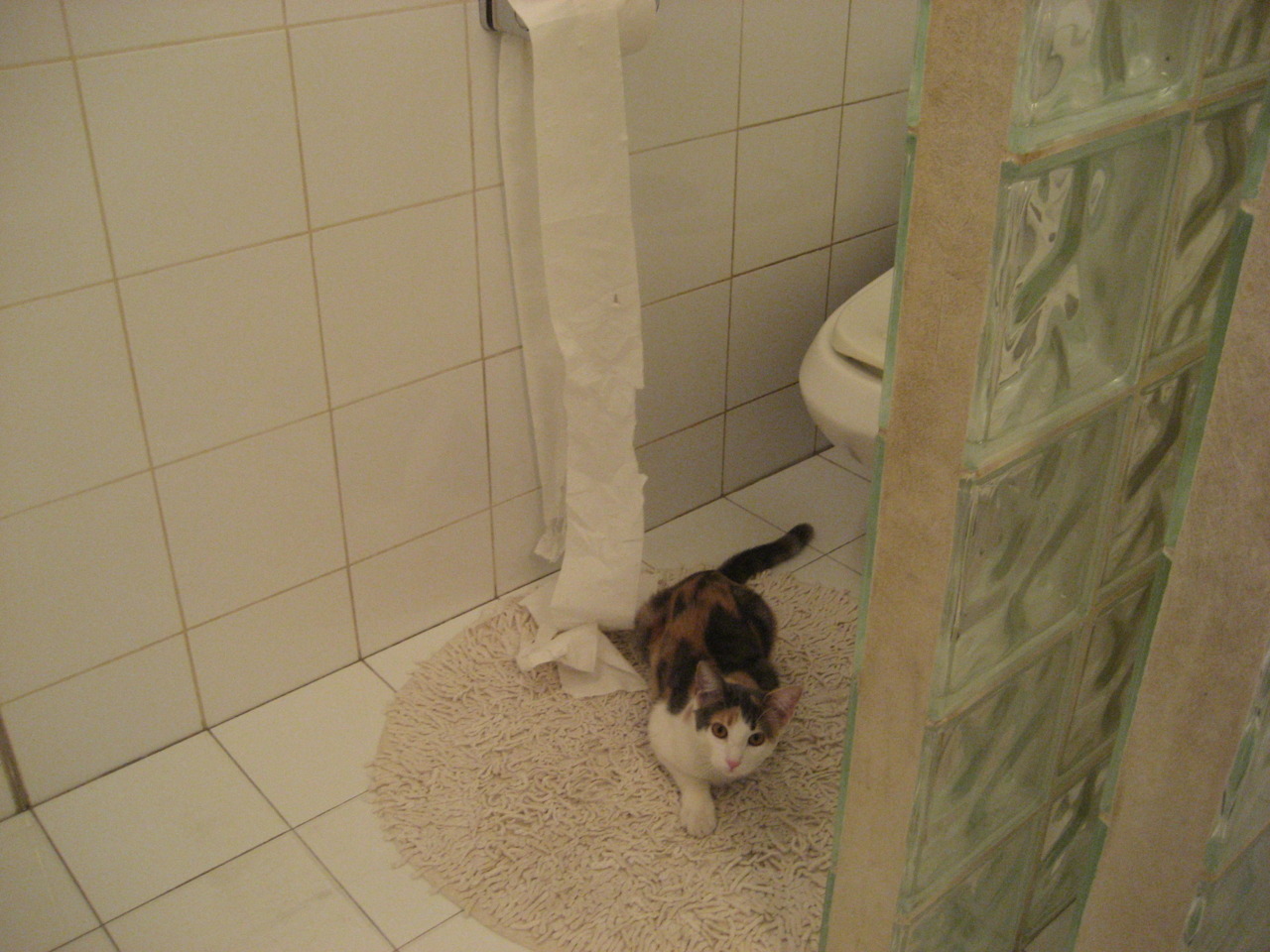 凌晨四点的备忘录，当约基奇接管西决时，灰熊狂胜黄蜂的往事如何重演