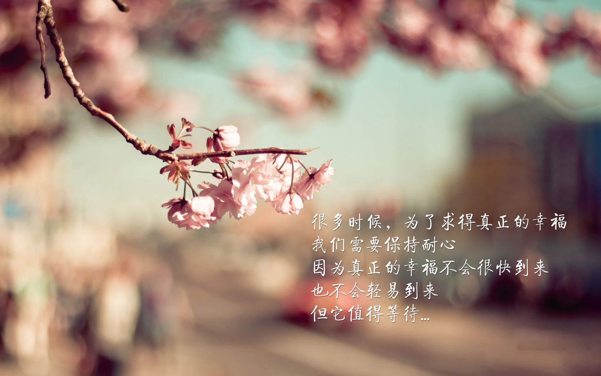 当战术机器遇见北欧风暴，佩德里如何成为唯一的不变量