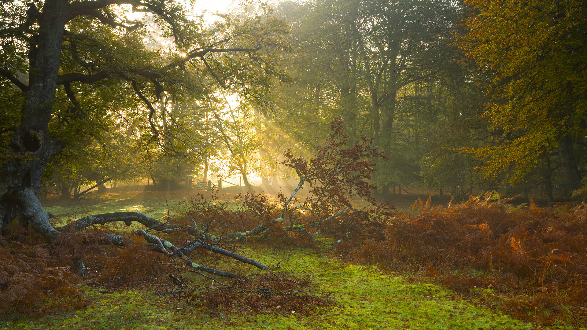 战靴与王冠，斯通斯的四秒哲学与玻利维亚的永恒日出