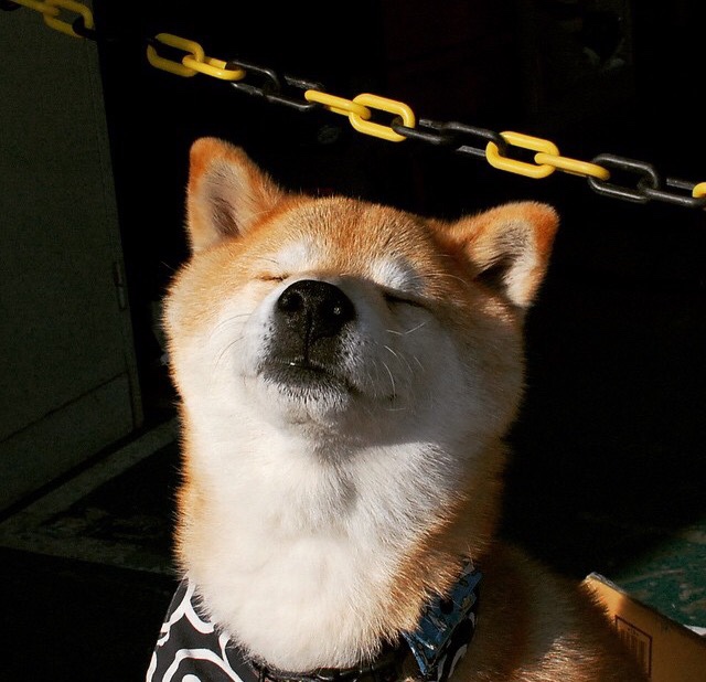 雷火电竞网址-单节风暴锁定奥运门票，日本男篮关键战击溃奥地利，亚洲篮球新纪元？